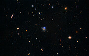 Bright Blue Cosmic Outbursts Likely Caused by Large Black Holes Shredding Massive Companions